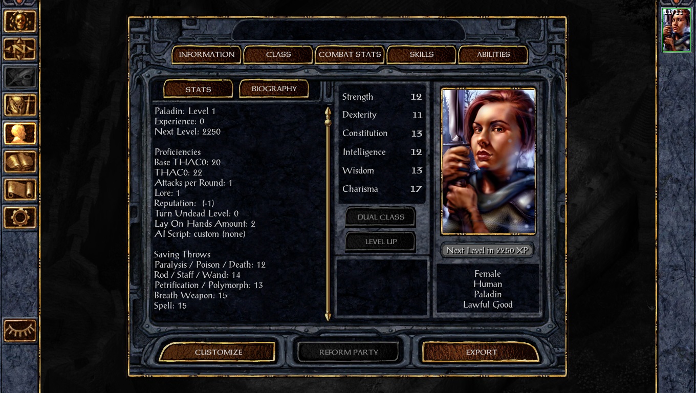 A Paladin in Baldur's Gate