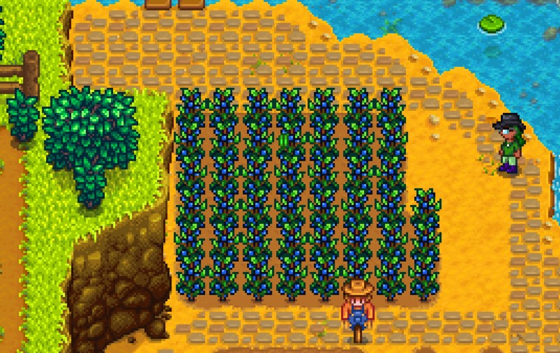 [Top 10] Stardew Valley Best Summer Crops (Ranked) GAMERS DECIDE