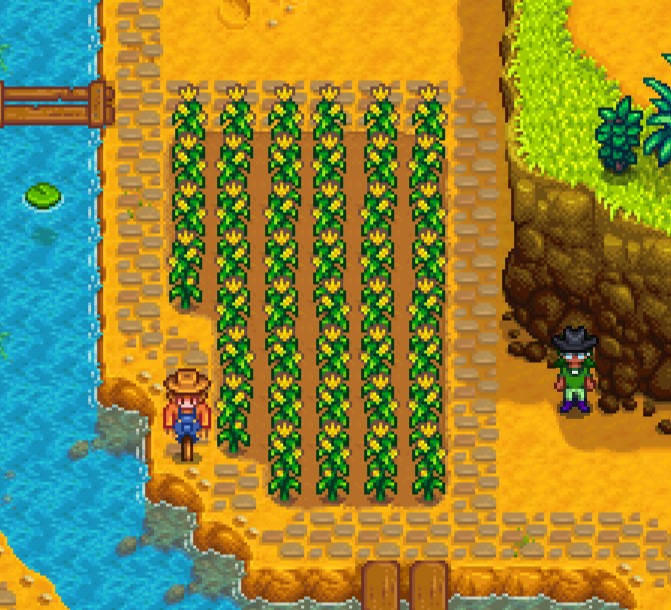 Best Stardew Valley Summer Crops