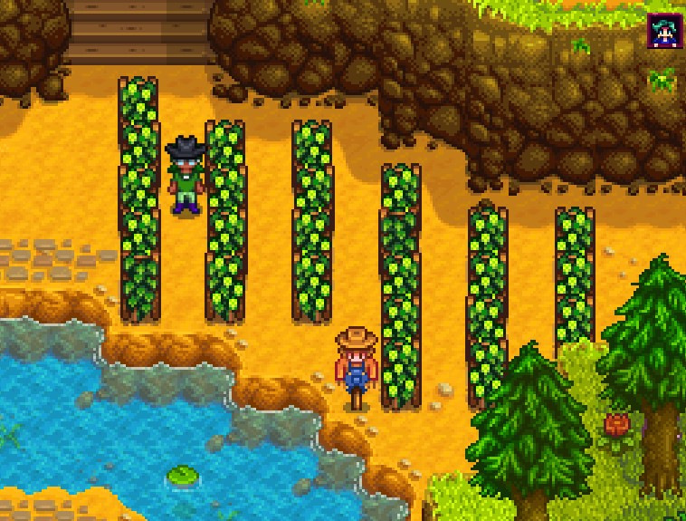 Best Stardew Valley Summer Crops