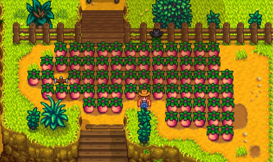 [Top 10] Stardew Valley Best Summer Crops (Ranked) Gamers Decide