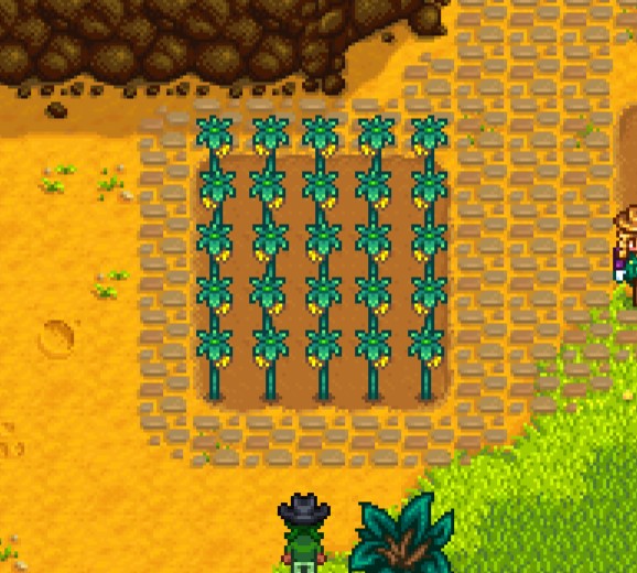 Best Stardew Valley Summer Crops