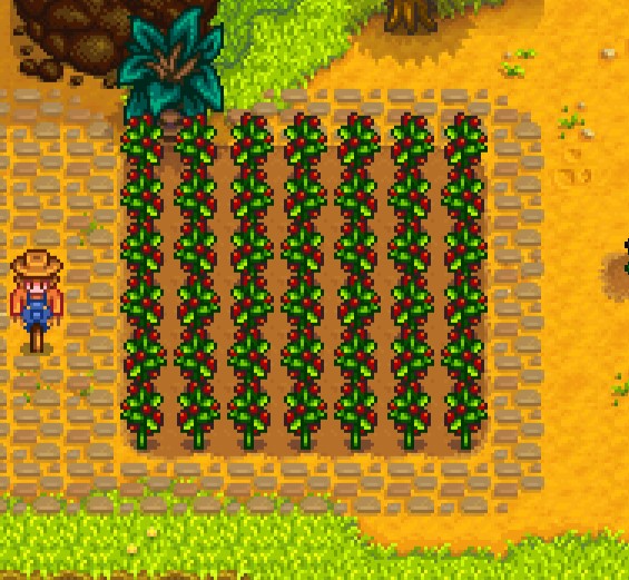 Best Stardew Valley Summer Crops