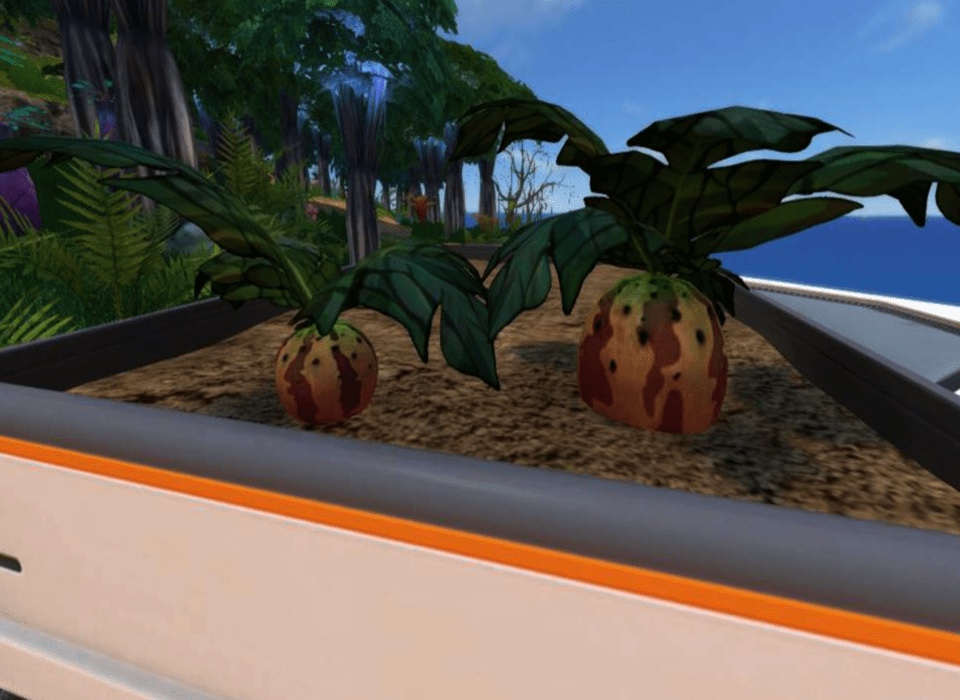 [Top 12] Subnautica Below Zero Best Food (And How To Get Them