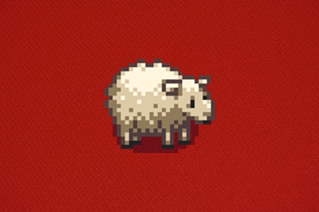 Sheep