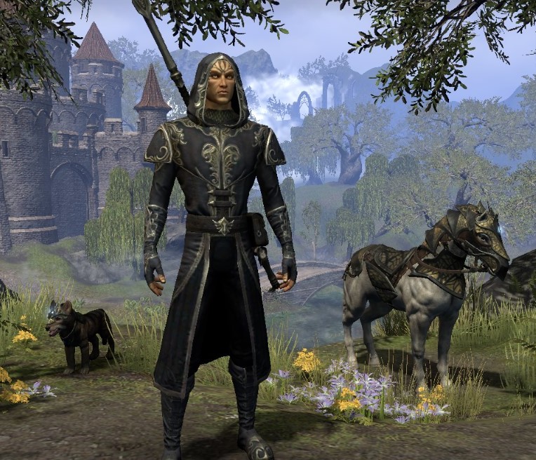 [Top 5] Best Race For Templar (Ranked Good to Best) GAMERS DECIDE