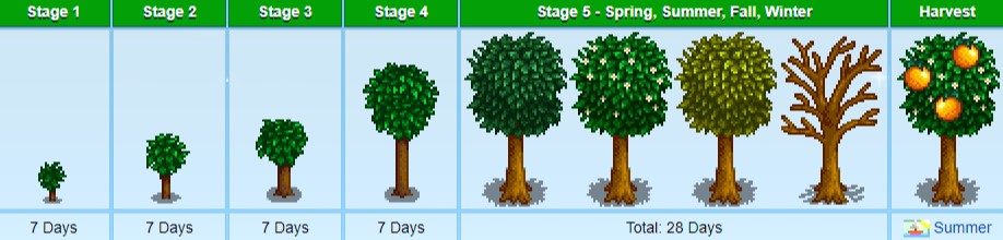  Top 15 Stardew Valley Most Expensive Wine GAMERS DECIDE
