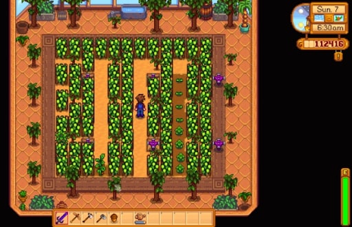 [Top 15] Stardew Valley Best Greenhouse Crops (And Why They're Great