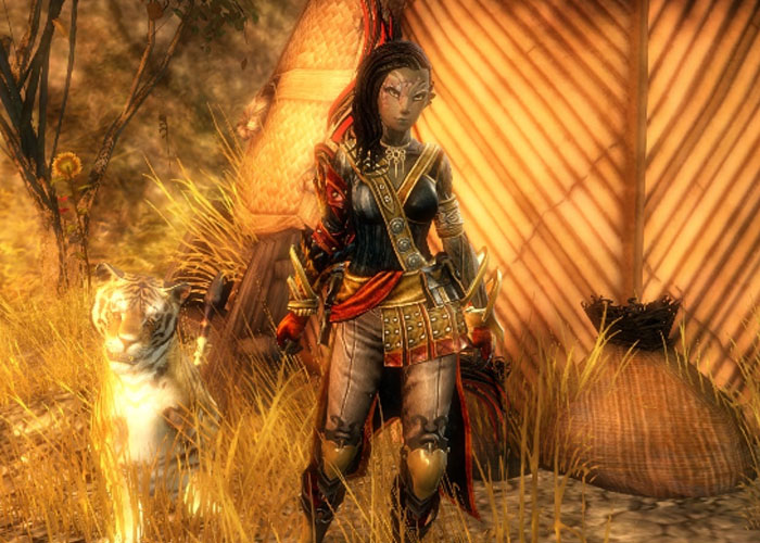 [Top 10] Guild Wars 2 Best Dye Combinations GAMERS DECIDE