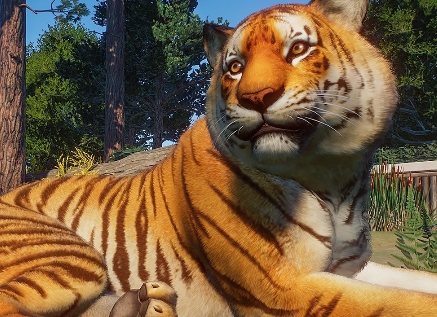 Top 10] Planet Zoo Best Starting Animals | GAMERS DECIDE