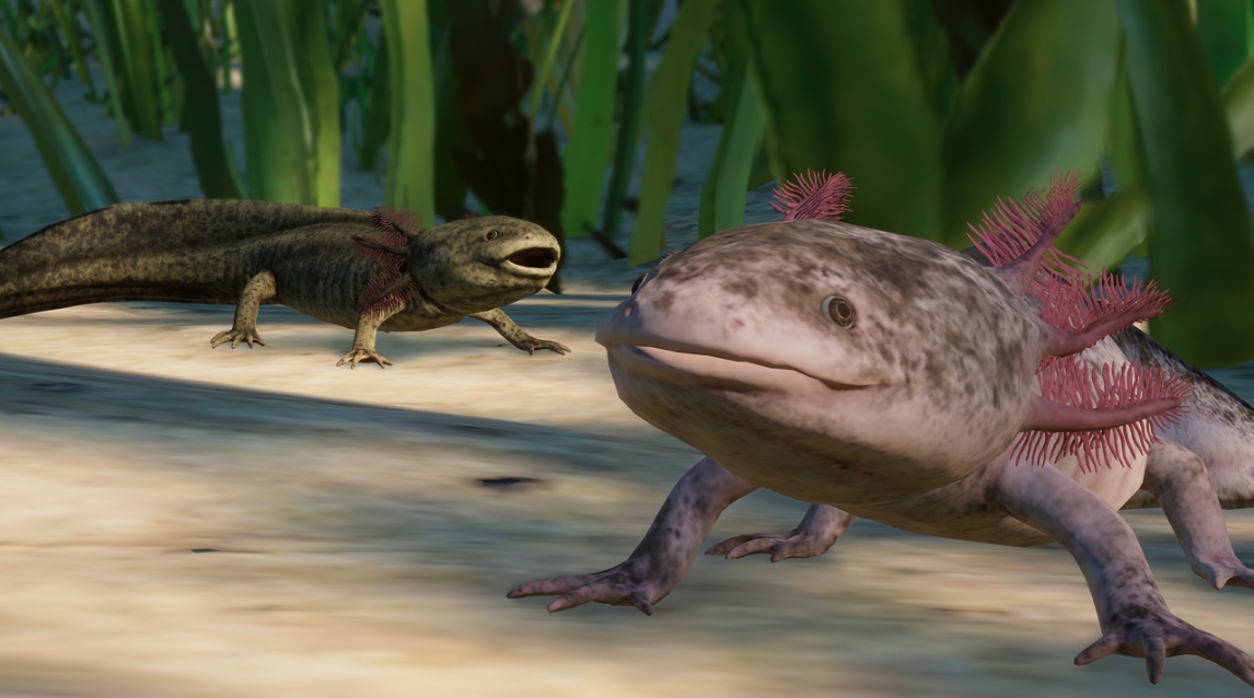 [Top 10] Zoo Best Exhibit Animals Gamers Decide