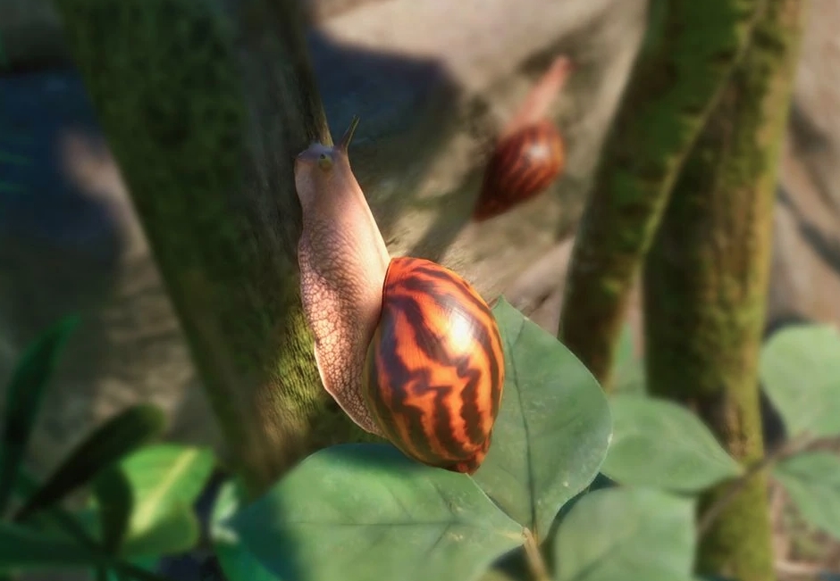 [Top 10] Zoo Best Exhibit Animals Gamers Decide