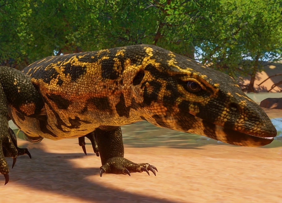 [Top 10] Zoo Best Starting Animals Gamers Decide