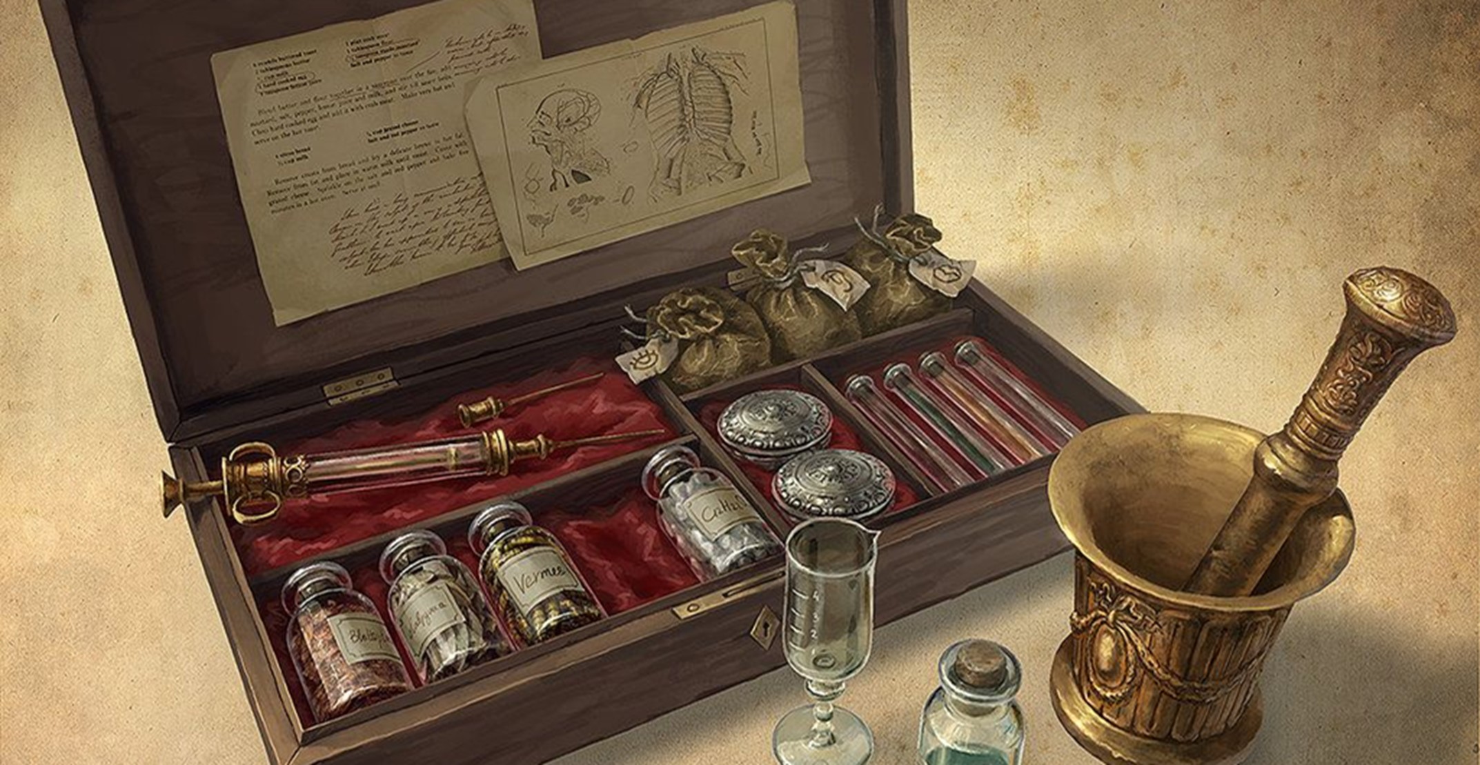 D&D Best Damage Types (All Damage Types Ranked) Gamers Decide