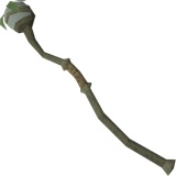 nature_staff.jpg