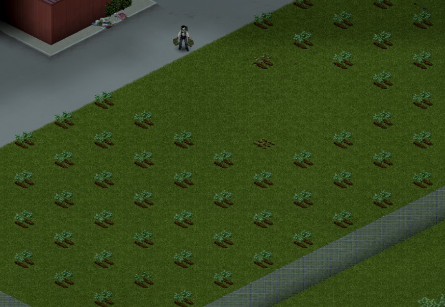 [Top 5] Project Zomboid Best Crops To Farm GAMERS DECIDE