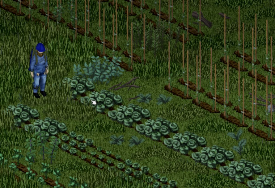 [Top 5] Project Zomboid Best Crops To Farm GAMERS DECIDE