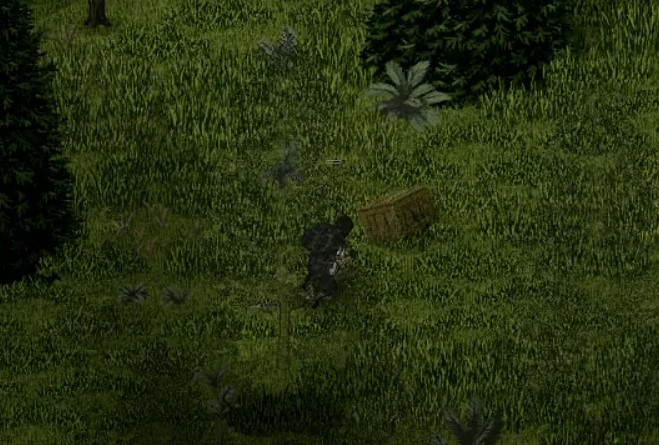 A stick trap in a wooded area