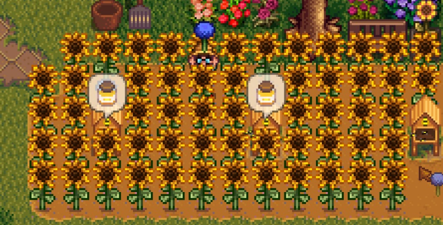 Fields of sunflowers and houses full of bees