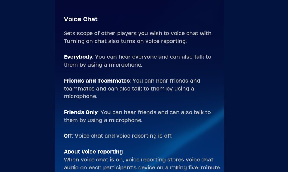 Voice Chat