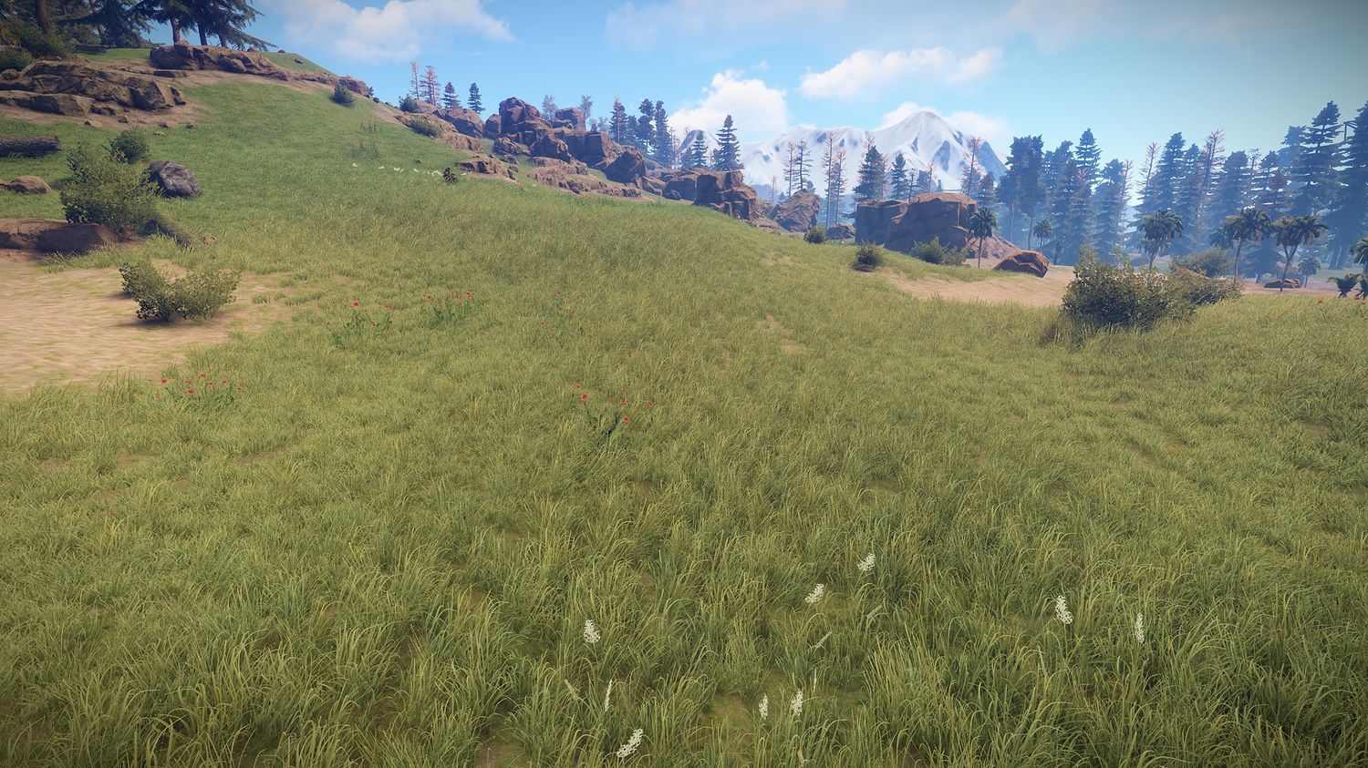 Скриншот из Rust, демонстрирующий высокое качество травы, удачи в поисках цыплят в такой густой траве.
