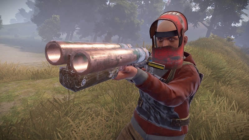 RUST Review