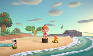 Animal Crossing New Horizons Best Islands