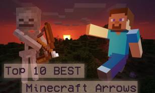 Thumbnail of Steve from Minecraft and a skeleton over a sunset