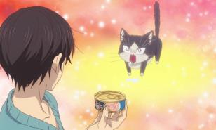 Anime with Cats