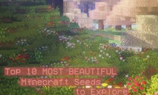 Thumbnail of a meadow in Minecraft