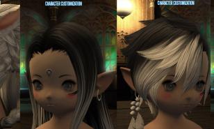 FF14 How To Change Hairstyle
