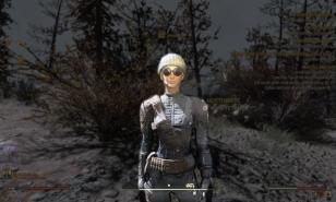 Fallout 76 best under armor