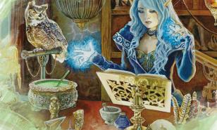 Sorcerer reading through magic book with owl companion