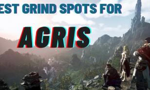 Best Black Desert Online Grind Spots For Agris