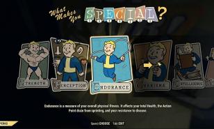 Fallout 76 Best Perks