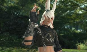 final fantasy xiv, best mmorpg 2021, best mmo 2021, best outfit, best glamour