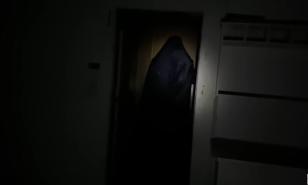 Screenshot of Mysterious figure from Mindseed TV 