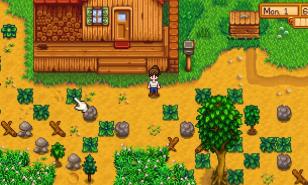 What Is Stardew Valley APK and How To Use It