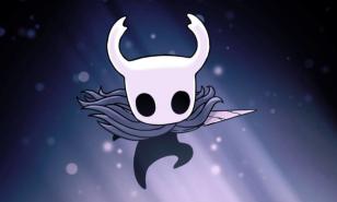 hollow knight, charms