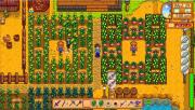 Stardew Valley Gets Unofficial Co-Op Multiplayer Mod