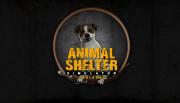 Animal Shelter: Prologue Reveals the Soft-Hearted Animal Lovers Among Us