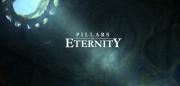Pillars of Eternity Review and Gameplay