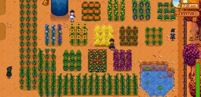 There are plenty of crops to pick between for spring, summer or fall!