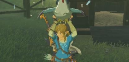 Breath of the Wild Best Starting Things
