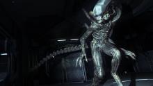 The Xenomorph is constantly stalking you