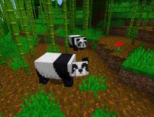 A pair of pandas