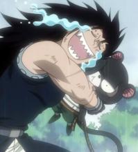 Gajeel and Pantherlily, the best of friends