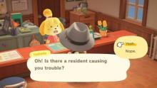 Isabelle wants to know if you have a problem.