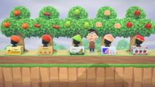 There are many different things to do with fruit in Animal Crossing: New Horizons