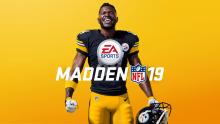 Antonio Brown of the Pittsburgh Steelers can be seen on most Madden 19 covers. 